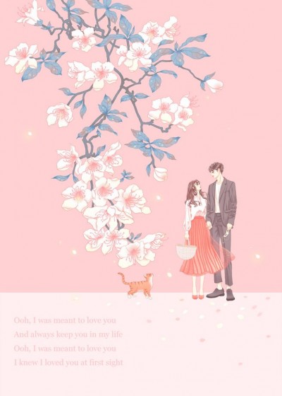 ������ʧ֮��